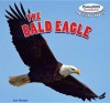 The Bald Eagle - Joe Gaspar