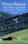 Wind Power for Home & Business: Renewable Energy for the 1990s and Beyond - Paul Gipe