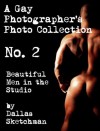 A Gay Photographer's Photo Collection No. 2 (Photo Collections) - Dallas Sketchman