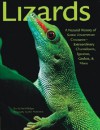 Lizards: A Natural History of Some Uncommon Creatures:Extraordinary Chameleons, Iguanas, Geckos, & More - David Badger, John Netherton