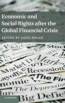 Economic and Social Rights after the Global Financial Crisis - Aoife Nolan