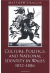 Culture, Politics, and National Identity in Wales 1832-1886 (Great Britain & Ireland) - Matthew Cragoe