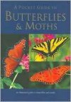 A Pocket Guide to Butterflies & Moths - Elizabeth Balmer