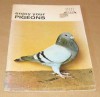 enjoy your PIGEONS - Earl Schneider