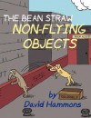 The Bean Straw: Non-Flying Objects - David Hammons