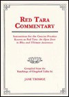 Red Tara Commentary: Instructions for the Concise Practice Known as Red Tara: An Open Door to Bliss and Ultimate Awareness - Chagdud Tulku, Chagdud Khadro