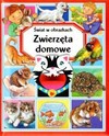 Zwierzęta domowe. Świat w obrazkach - Émilie Beaumont