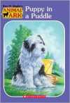 Puppy in a Puddle (Animal Ark, #28) - Lucy Daniels