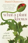 What A Plant Knows: a field guide to the senses - Daniel Chamovitz