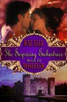 The Surprising Enchantress - Book III (Cinderella Series) - Kae Elle Wheeler