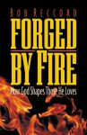 Forged by Fire: How God Shapes Those He Loves - Bob Reccord, Bob E. Reccord