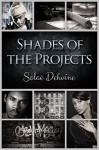 Shades of the Projects: Volume 1: Urban Street Drama - Solae Dehvine