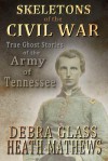 Skeletons of the Civil War: True Ghost Stories of the Civil War - Debra Glass, Heath Mathews