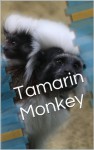 Tamarin Monkey Picture Book - Patricia Foster