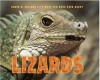 Sneed B. Collard III's Most Fun Book Ever About Lizards - Sneed B. Collard III