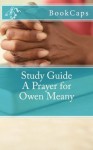 A Prayer for Owen Meany: (A BookCaps Study Guide) - BookCaps