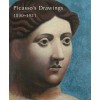 Picasso's Drawings, 1890-1921: Reinventing Tradition - Susan Grace Galassi, Marilyn McCully
