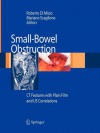 Small-Bowel Obstruction - Roberto Di Mizio, Mariano Scaglione