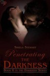 Penetrating the Darkness - Shiela Stewart