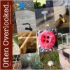 Often Overlooked, Vol. 2 - Cary Polkovitz