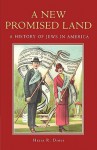 A New Promised Land: A History of Jews in America - Hasia R. Diner