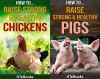 2in1 HTeBooks: How To Raise Strong & Healthy Chickens and How To Raise Strong & Healthy Pigs - HTeBooks