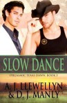 Slow Dance - A.J. Llewellyn, D.J. Manly