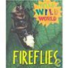 Fireflies - Liza Jacobs