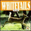 Whitetails for Kids (Wildlife for kids) - Tom Wolpert