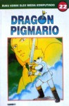 Dragon Pigmario Vol. 22 - Shinji Wada