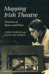 Mapping Irish Theatre: Theories of Space and Place - Christopher Morash, Shaun Richards