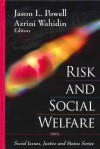 Risk and Social Welfare - Jason L. Powell, Azrini Wahidin