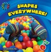 Shapes Everywhere (21st Century Basic Skills Library) - Cecilia Minden