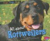 All about Rottweilers - Erika L. Shores