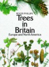 Trees in Britain, Europe and North America - Roger Phillips, John White