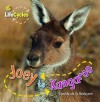 Joey to Kangaroo - Camilla De la Bédoyère