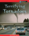 Terrifying Tornadoes (Awesome Forces Of Nature) - Louise Spilsbury, Richard Spilsbury