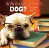 How Smart Is Your Dog? - Parragon Books