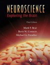 Neuroscience: Exploring the Brain - Mark F. Bear, Barry W. Connors, Michael A. Paradiso