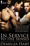 In Service to the Senses - Demelza Hart