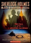 The Fall of the Amazing Zalindas - Tracy Mack, Michael Citrin