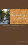 The Transcending Divorce Support Group Guide: Guidance and Meeting Plans for Facilitators - Alan D. Wolfelt