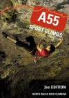 A55 Sport Climbs: North Wales Rock Climbing - Michael Doyle