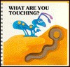 What Are You Touching? Board Book - Mario Gomboli