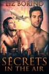 Secrets in the Air - Liz Borino