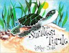 The Smallest Turtle - Lynley Dodd