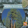 How Pine Trees Grow - Joanne Mattern