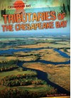 Tributaries of the Chesapeake Bay - Heather Moore Niver