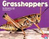 Grasshoppers - Margaret C. Hall