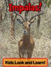 Impalas! Learn About Impalas and Enjoy Colorful Pictures - Look and Learn! (50+ Photos of Impalas) - Becky Wolff